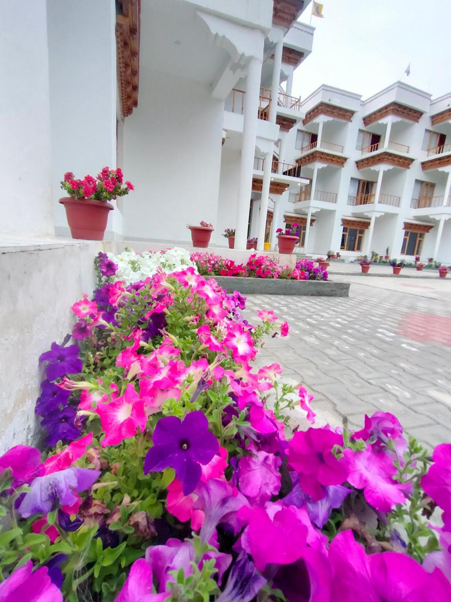 Hotel Ladakh Indus River Front 레 외부 사진